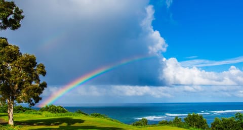 Rainbow over Princeville