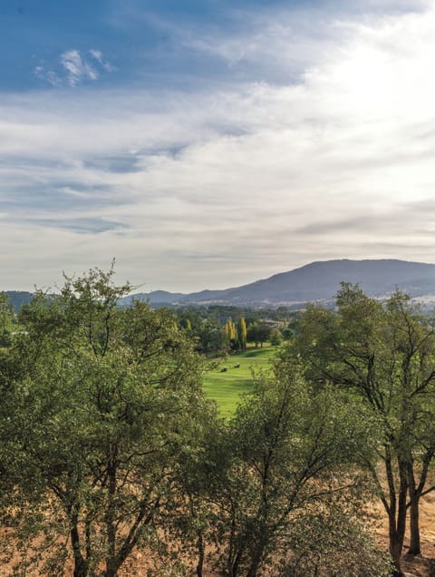 Angels_20Camp_20WBW_20AM_20047