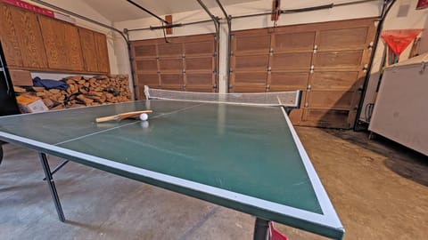 Grouse 4 - Garage Ping Pong