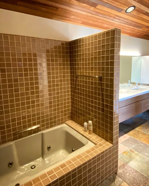 Bathroom complete with jacuzzi bathtub &  double head shower
