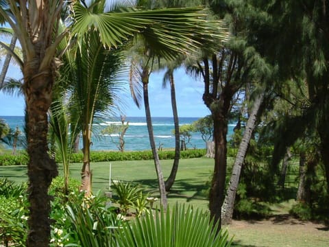 Ocean View from Lanai & living Room
Looking toward bike path and Swimming Beach
