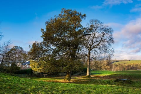 Crailing Cottage - estate grounds