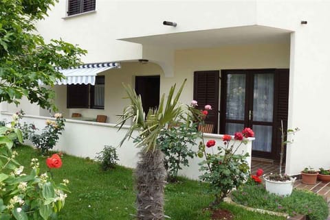 terrace