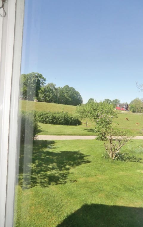 view-from-room