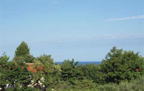 view-from-room