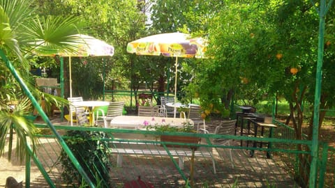 terrace