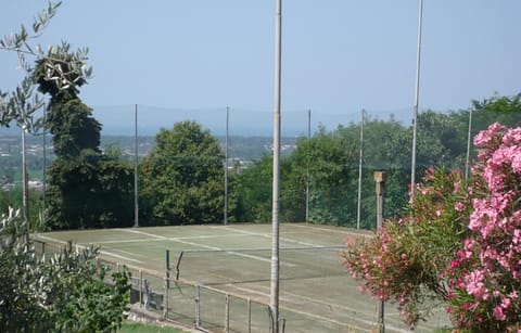 Sport court