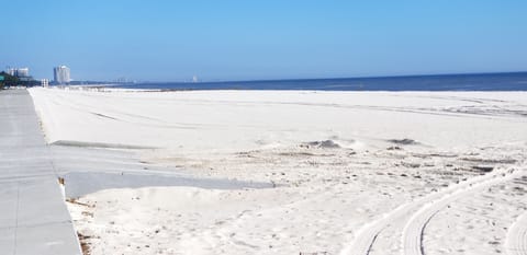 On the beach