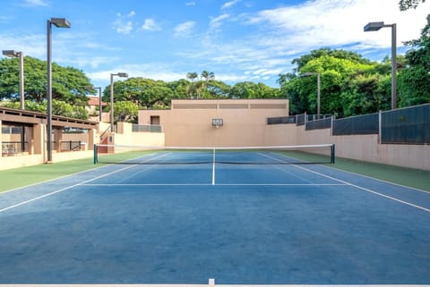 Sport court