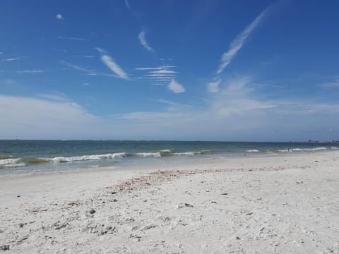 On the beach