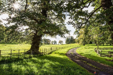Crailing Coach House - the beautiful estate grounds
