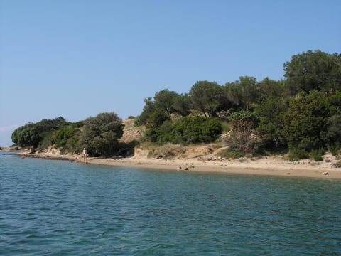 On the beach