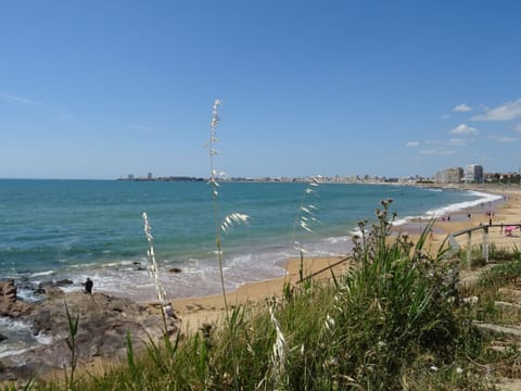 On the beach