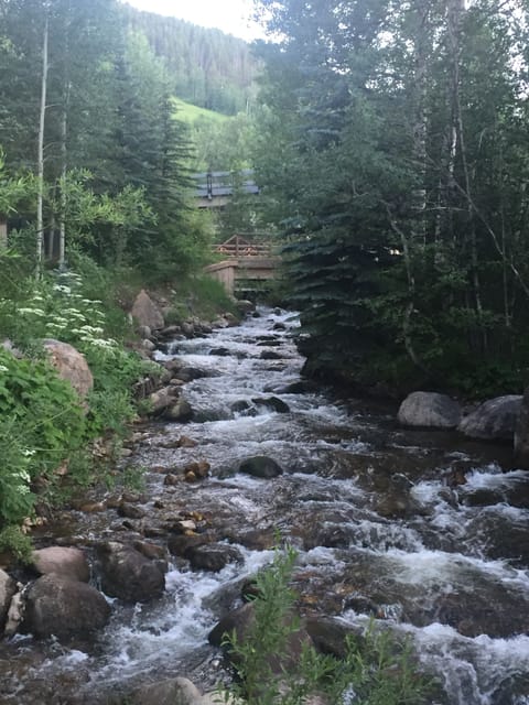 Summer view of the famous Beaver Creek.