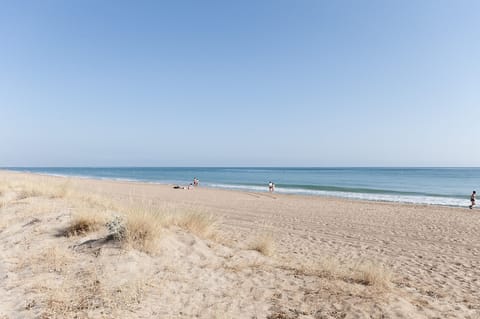 On the beach