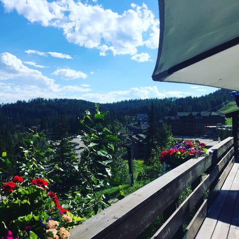 Summer view from Hellroaring, only a short walk away. Condo is in the background