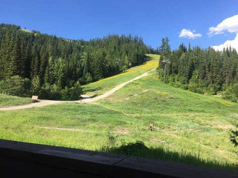 Mountain bike down the slopes in summertime.
