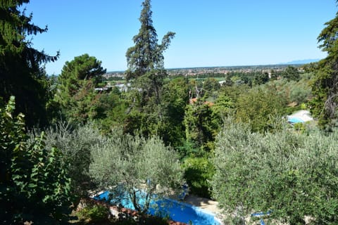 view from the balcony on the main floor 