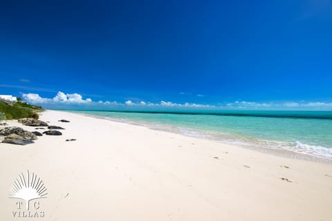 On the beach