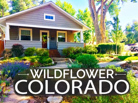 Spacious front porch with swinging bench, mature trees, & wildflowers galore!