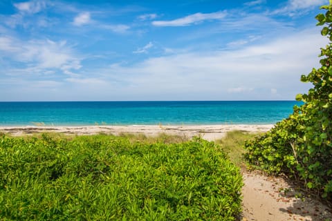 Beach nearby, sun loungers, beach towels