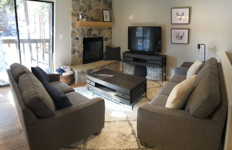 Living area | TV, fireplace, DVD player, stereo