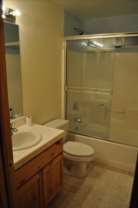 Combined shower/tub, jetted tub, hair dryer, towels