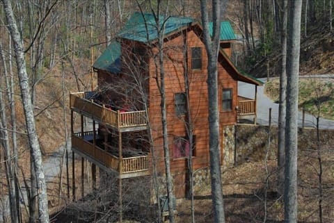 3 Level Cabin in Private Wooded Area