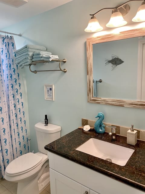 Combined shower/tub, hair dryer, towels, soap