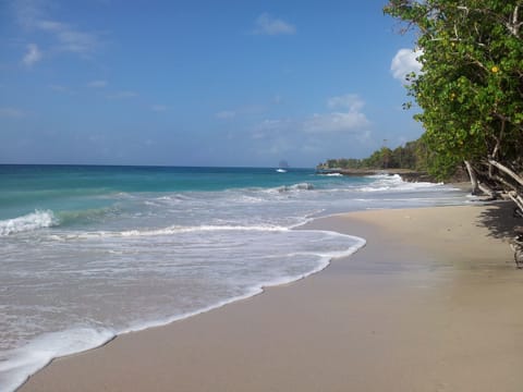 Beach nearby, sun loungers, beach towels