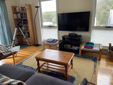 Flat-screen TV, fireplace, DVD player, books