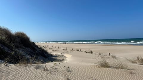 Beach nearby, sun loungers, beach towels