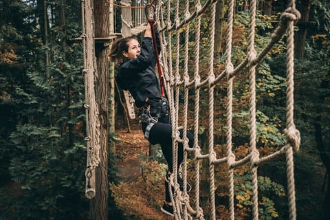 Wild Play is located 13 mins away. An epic tree climbing and zip lining activity