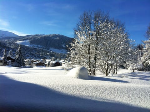 Snow and ski sports