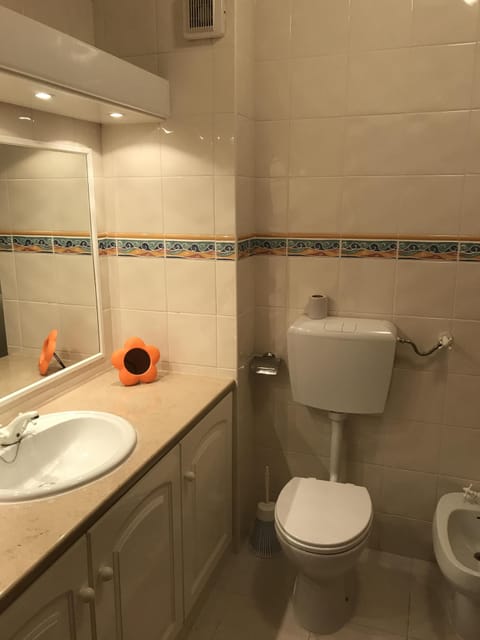 Combined shower/tub, hair dryer, bidet, towels