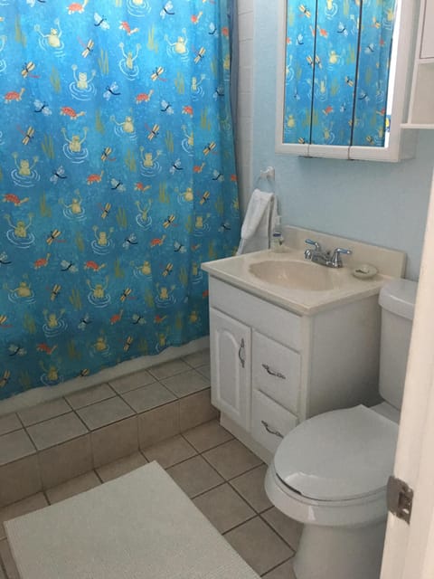 Combined shower/tub, hair dryer, towels, toilet paper