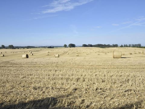 Region [summer] (>5 km)