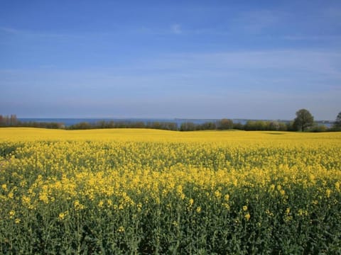 Region [summer] (>5 km)