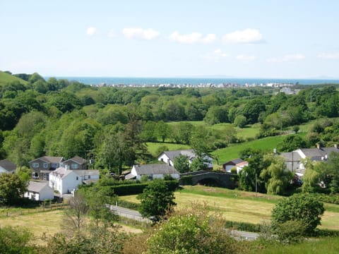 Dol-y-bont village