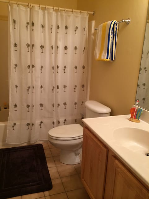 Combined shower/tub, hair dryer, shampoo, toilet paper