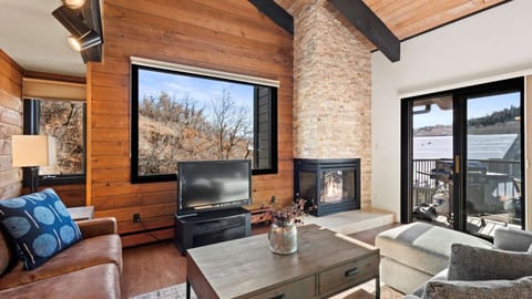 Flat-screen TV, fireplace