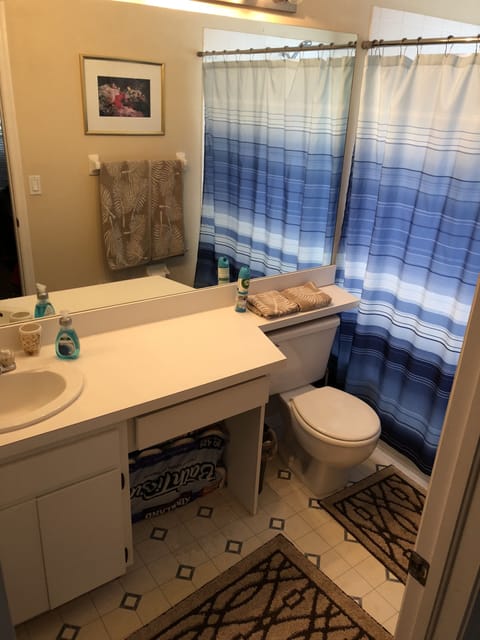 Combined shower/tub, hair dryer, bidet, towels