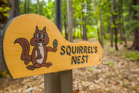 Welcome to Squirrel's Nest