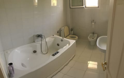 Combined shower/tub, hair dryer, bidet, towels