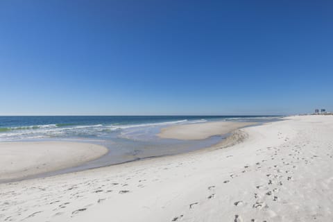 On the beach