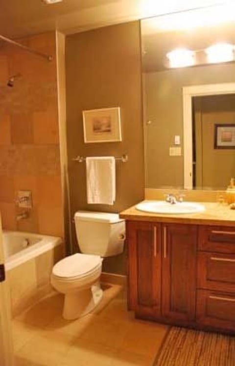 Combined shower/tub, jetted tub, hair dryer, towels