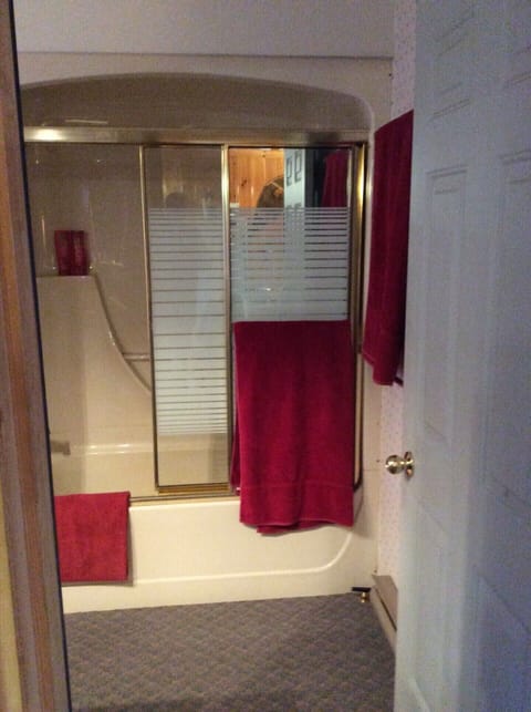 Combined shower/tub, hair dryer, soap, toilet paper