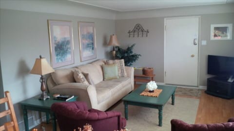 Living area | Flat-screen TV, DVD player, books, video library