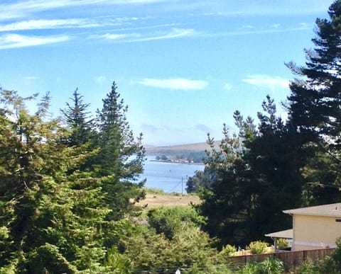View of Tip of Bodega Bay through tree lined valley.
