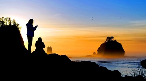 Closest to Olympic National Park